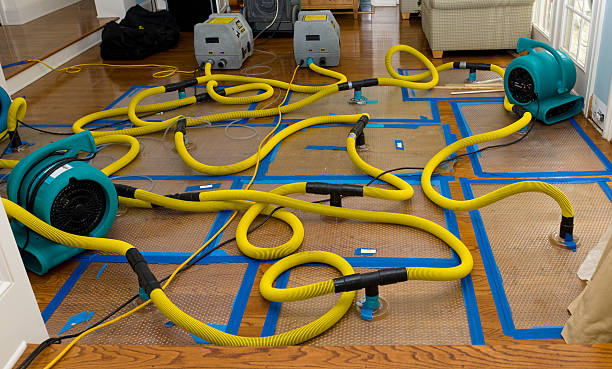 Professional Structural Drying And Dehumidification technician working in Midland, TX